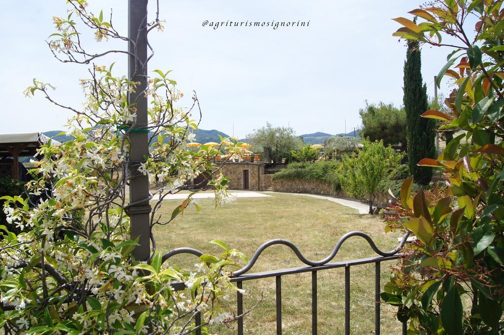 Agriturismo Signorini Orciatico المظهر الخارجي الصورة