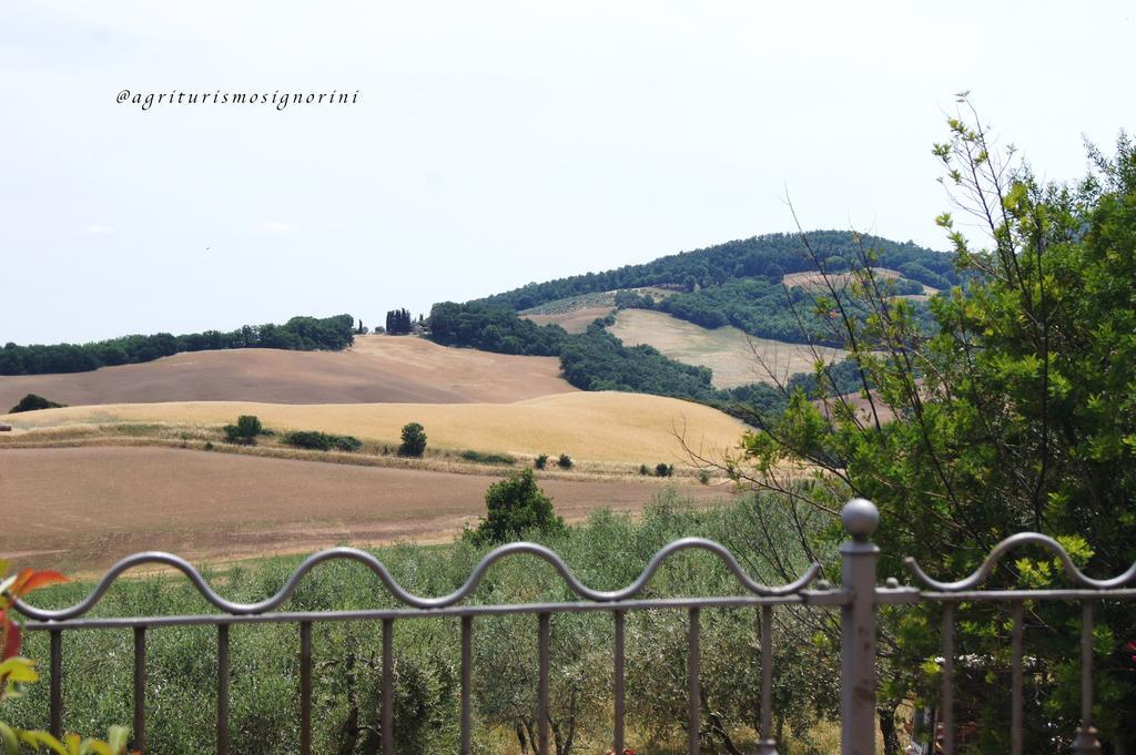 Agriturismo Signorini Orciatico المظهر الخارجي الصورة