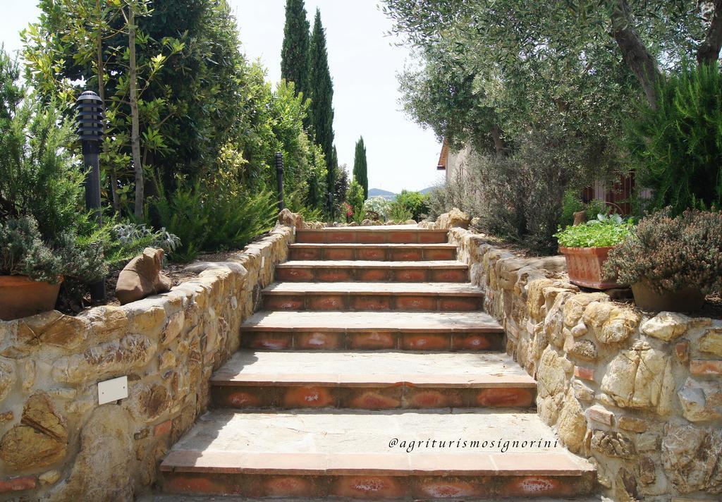 Agriturismo Signorini Orciatico المظهر الخارجي الصورة
