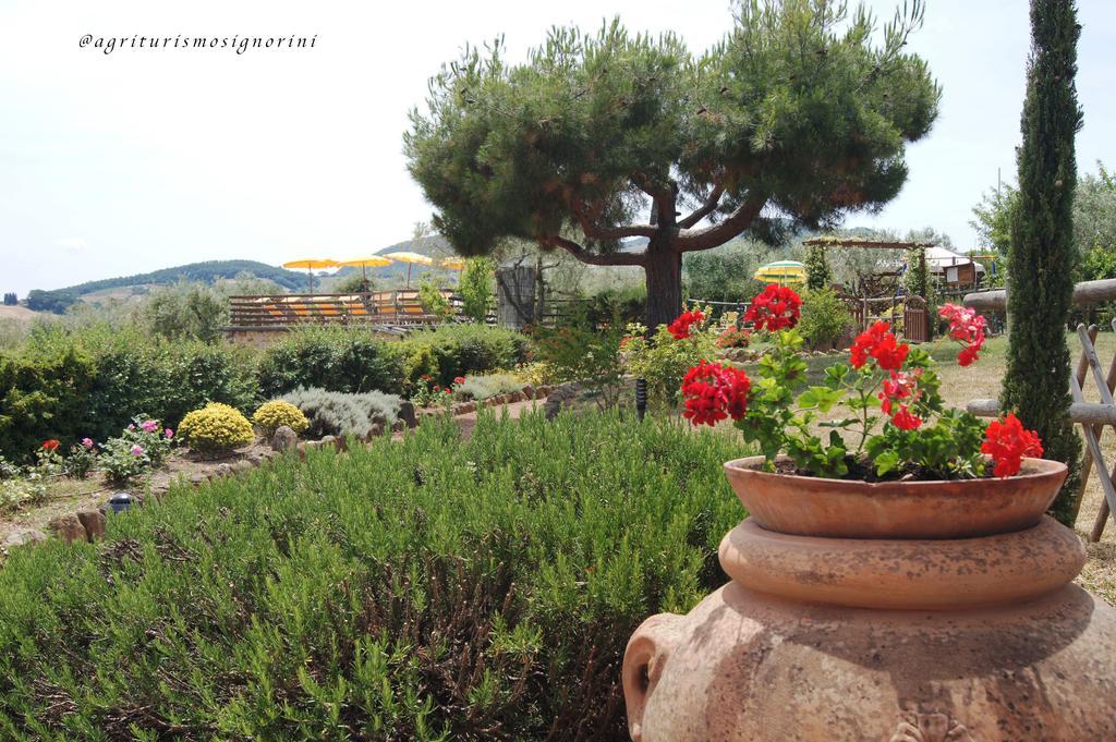 Agriturismo Signorini Orciatico المظهر الخارجي الصورة