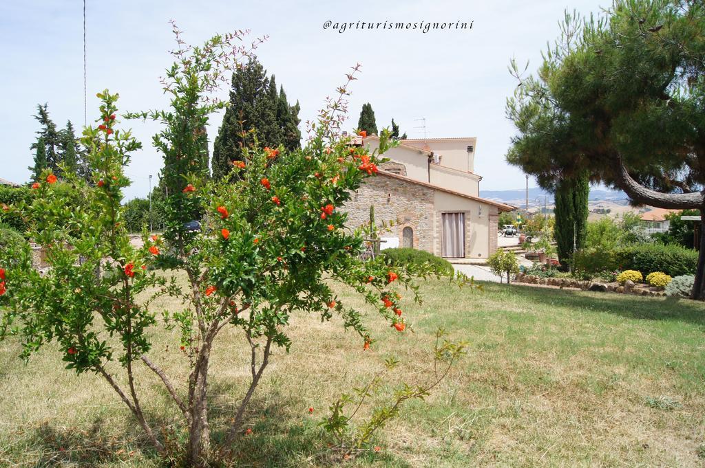 Agriturismo Signorini Orciatico المظهر الخارجي الصورة