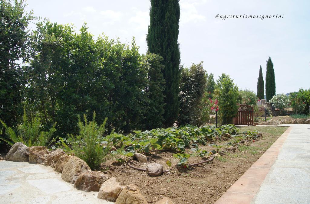 Agriturismo Signorini Orciatico المظهر الخارجي الصورة