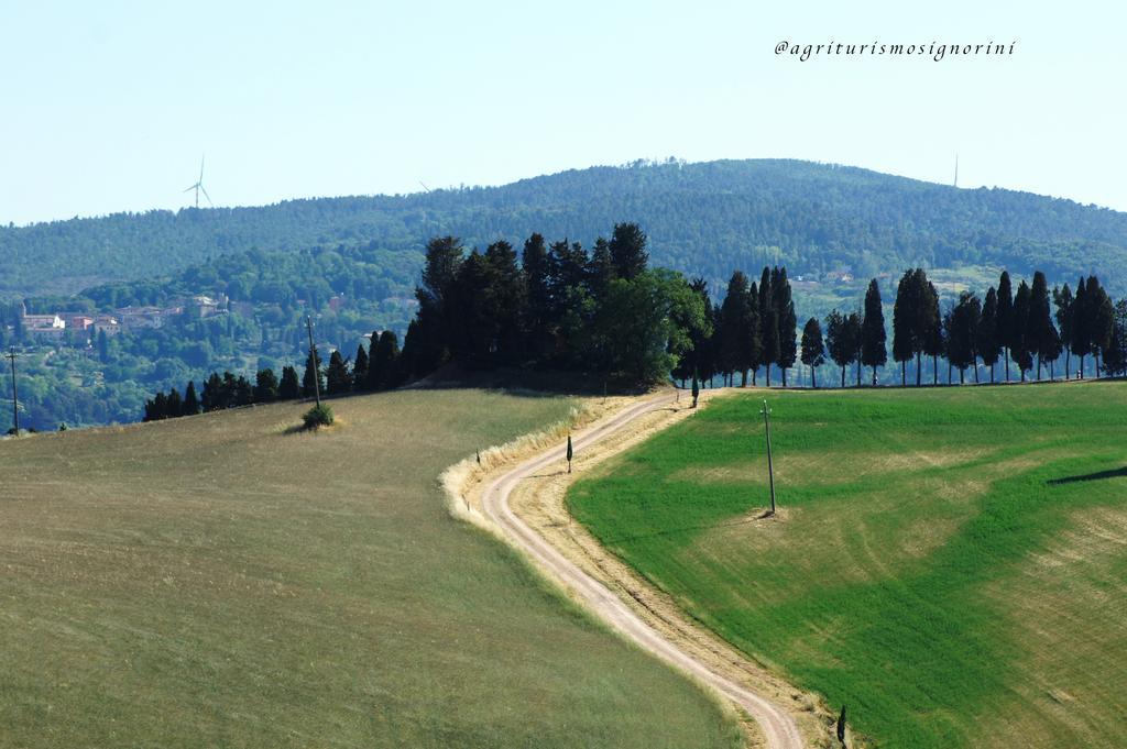 Agriturismo Signorini Orciatico المظهر الخارجي الصورة