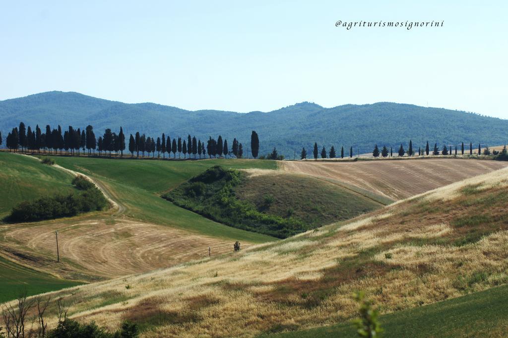 Agriturismo Signorini Orciatico المظهر الخارجي الصورة