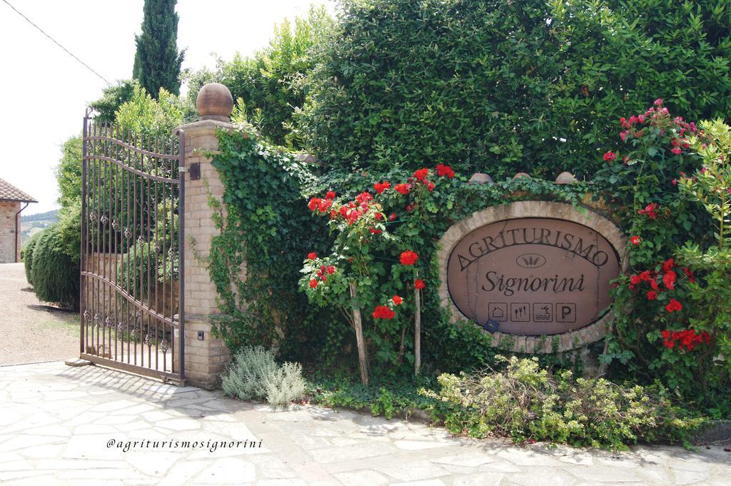 Agriturismo Signorini Orciatico المظهر الخارجي الصورة