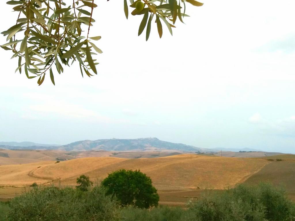 Agriturismo Signorini Orciatico المظهر الخارجي الصورة